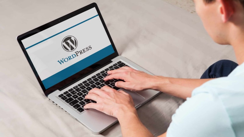 Wordpress Development Company in India